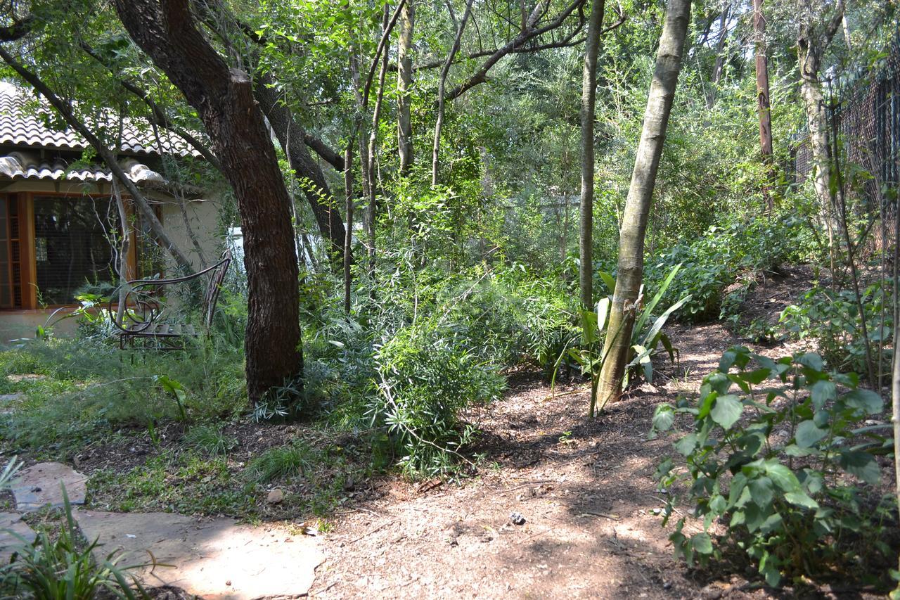 Lydall Wild Tranquil Garden Suites Johannesburg Exterior photo